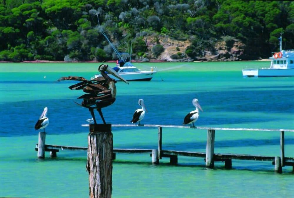 Pelican Motor Inn Merimbula Kültér fotó
